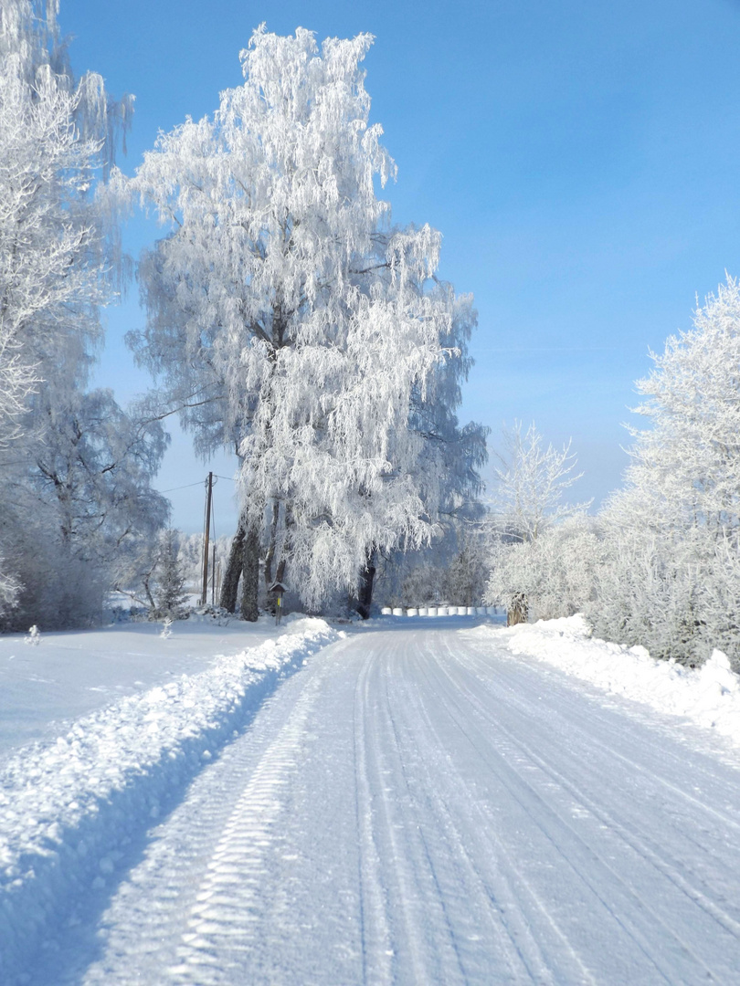 Ein echtes Winterbild