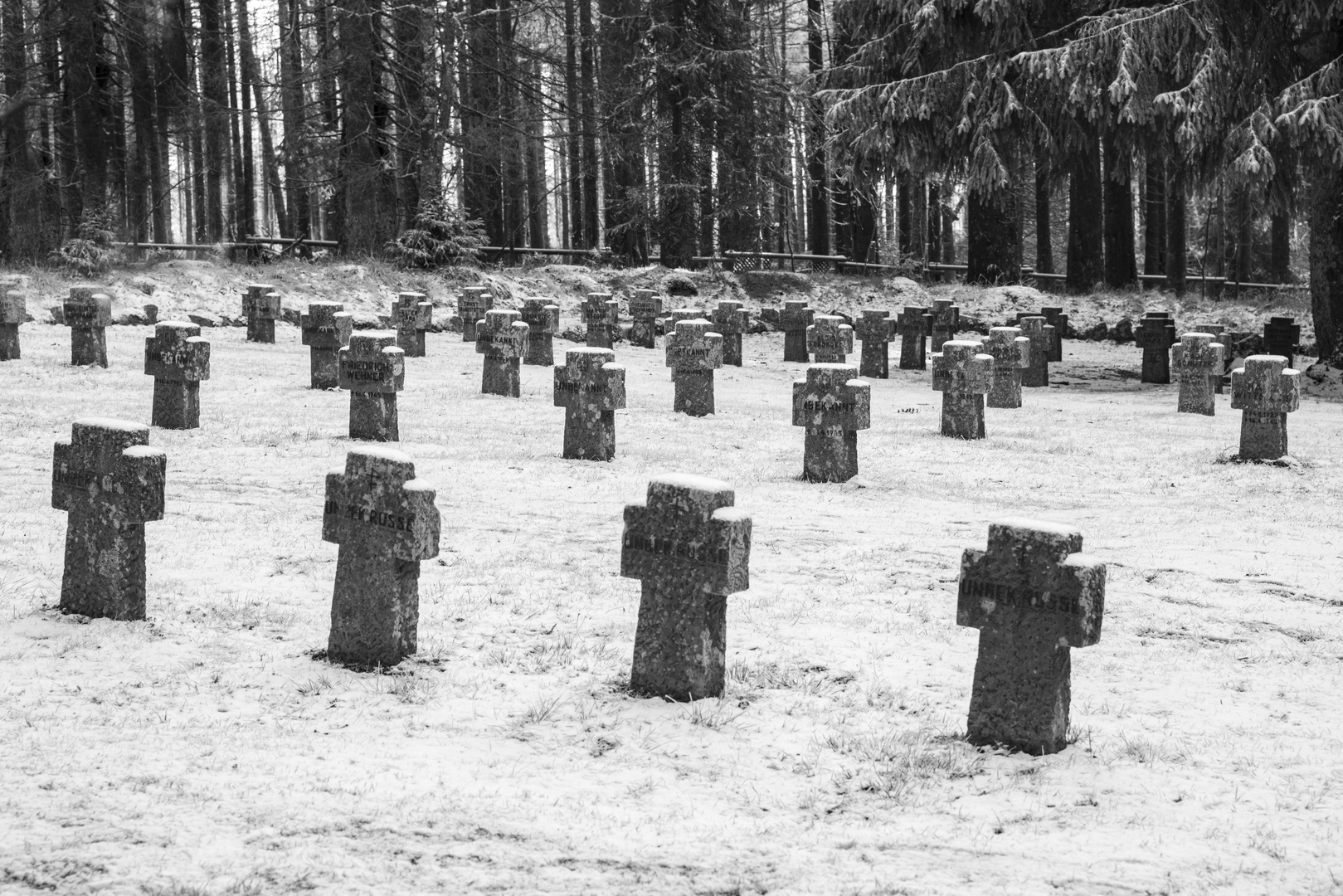 Ein Ehrenfriedhof im Wald