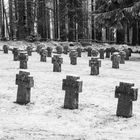 Ein Ehrenfriedhof im Wald