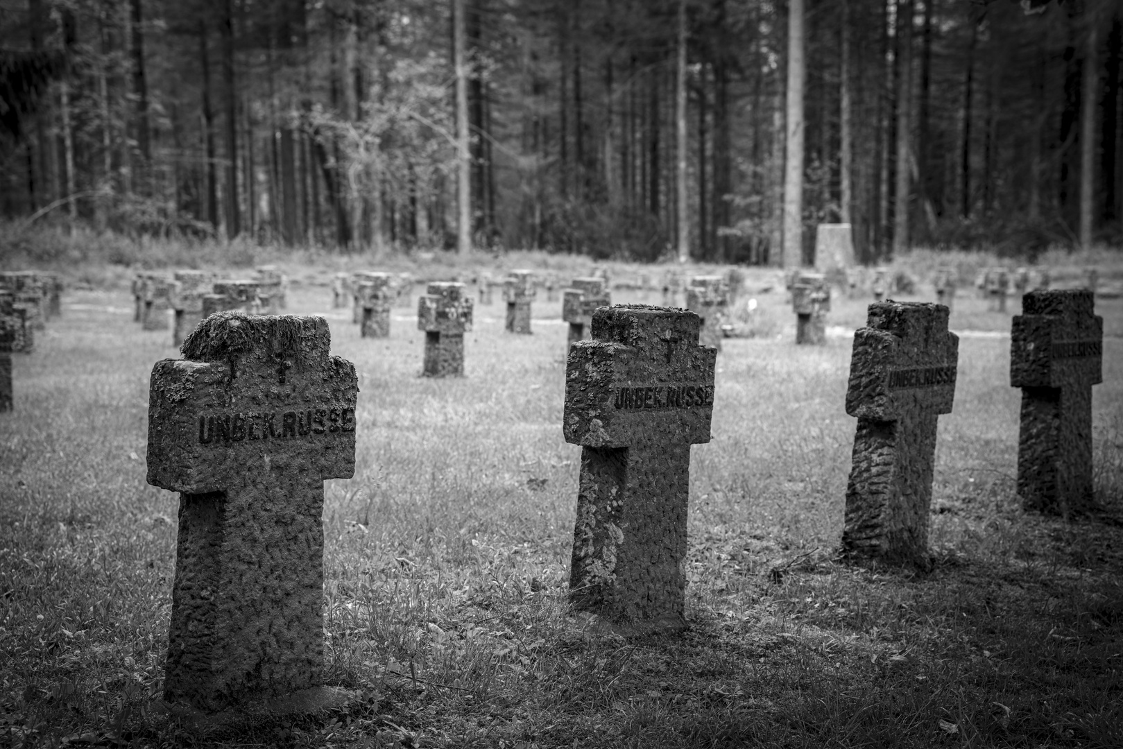 Ein Ehrenfriedhof mitten im Wald