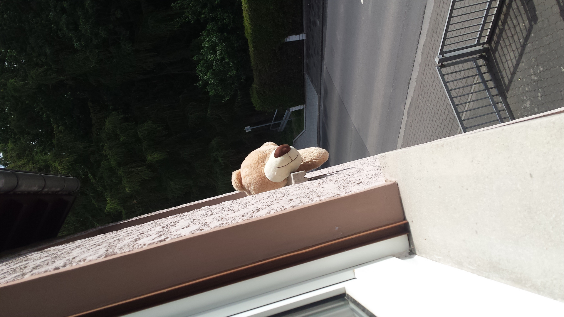 Ein einäugiger Teddybär, der aus dem Fenster klettern wollte um zu entkommen.