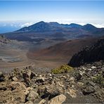 Ein Einblick ...  (Maui)