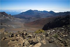 Ein Einblick ...  (Maui)