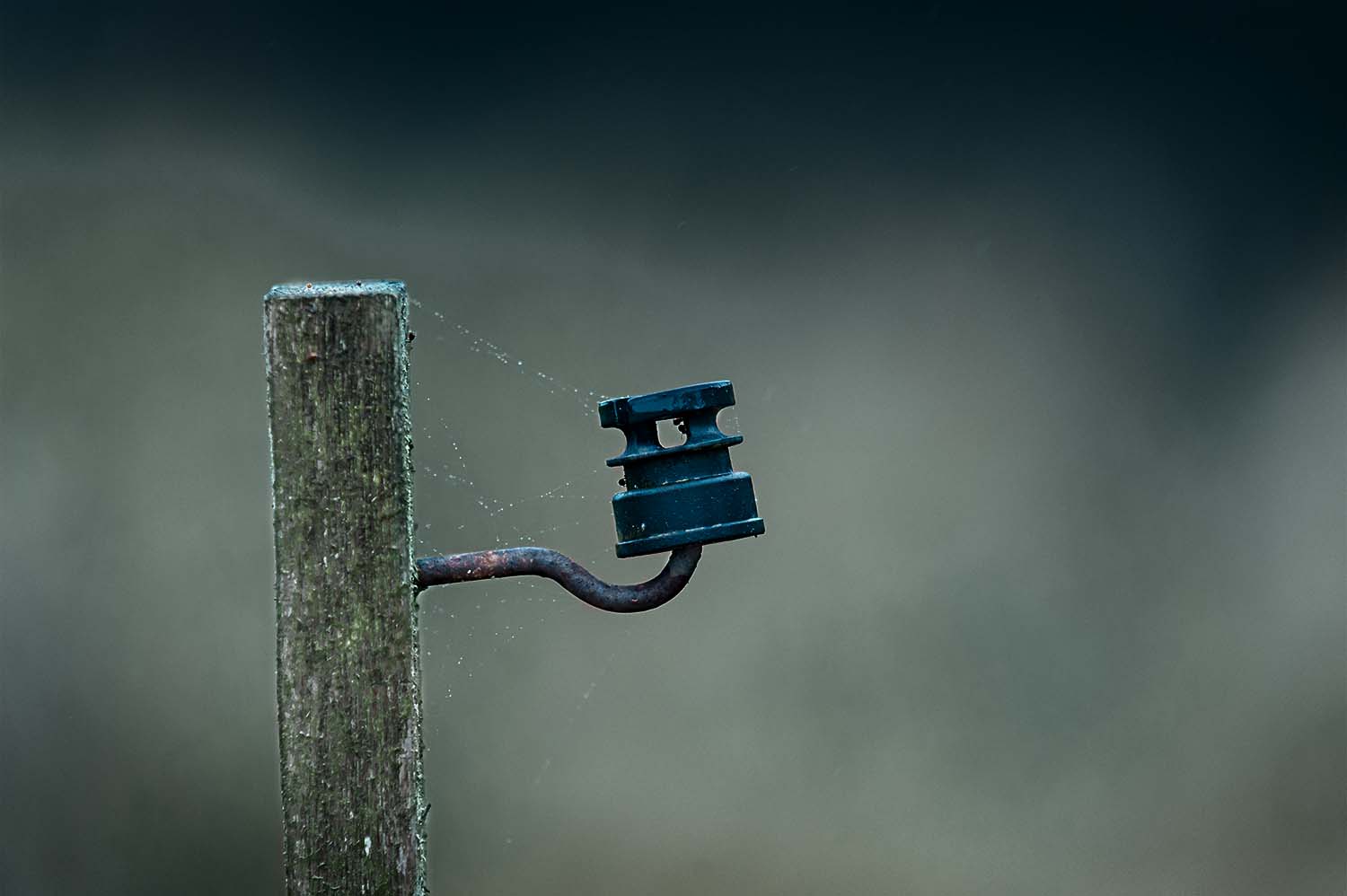 Ein einfacher Isolator am Weidezaun