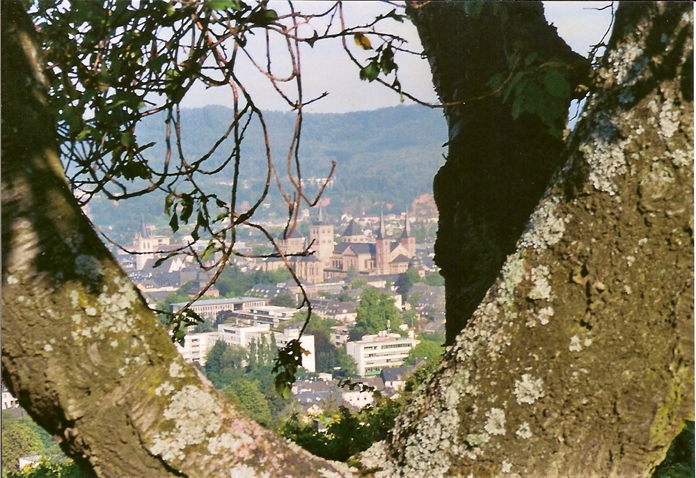 Ein eingerahmter Blick auf Trier!