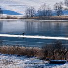 Ein einsamer Eisläufer am Irrsee