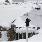 Ein einsamer Handschuh im Schnee...
