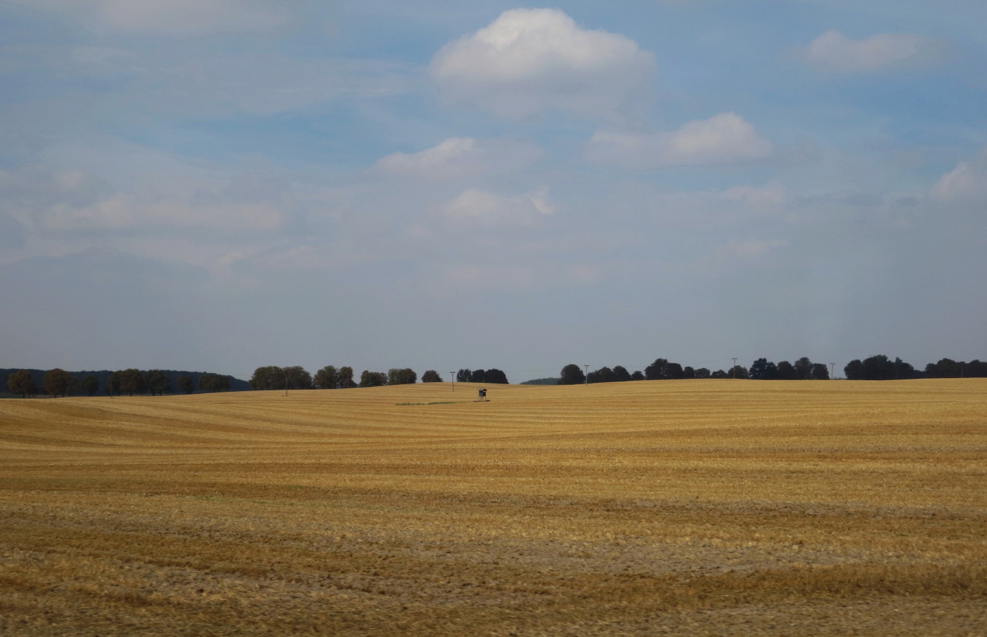 Ein einsamer Hochsitz