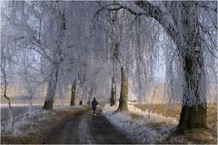 Ein einsamer Jogger