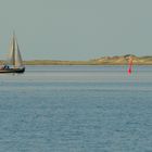 Ein einsamer Segler im Wattfahrwasser zwischen Neuharlingersiel und Spiekeroog ...