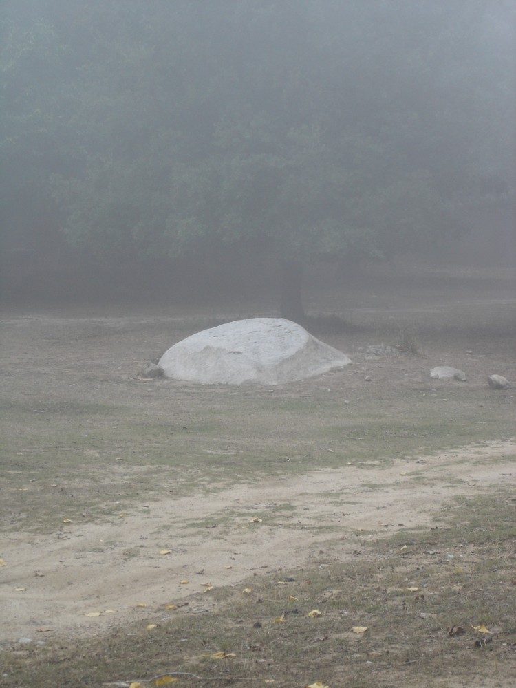 ein einsamer Stein im Nebel...