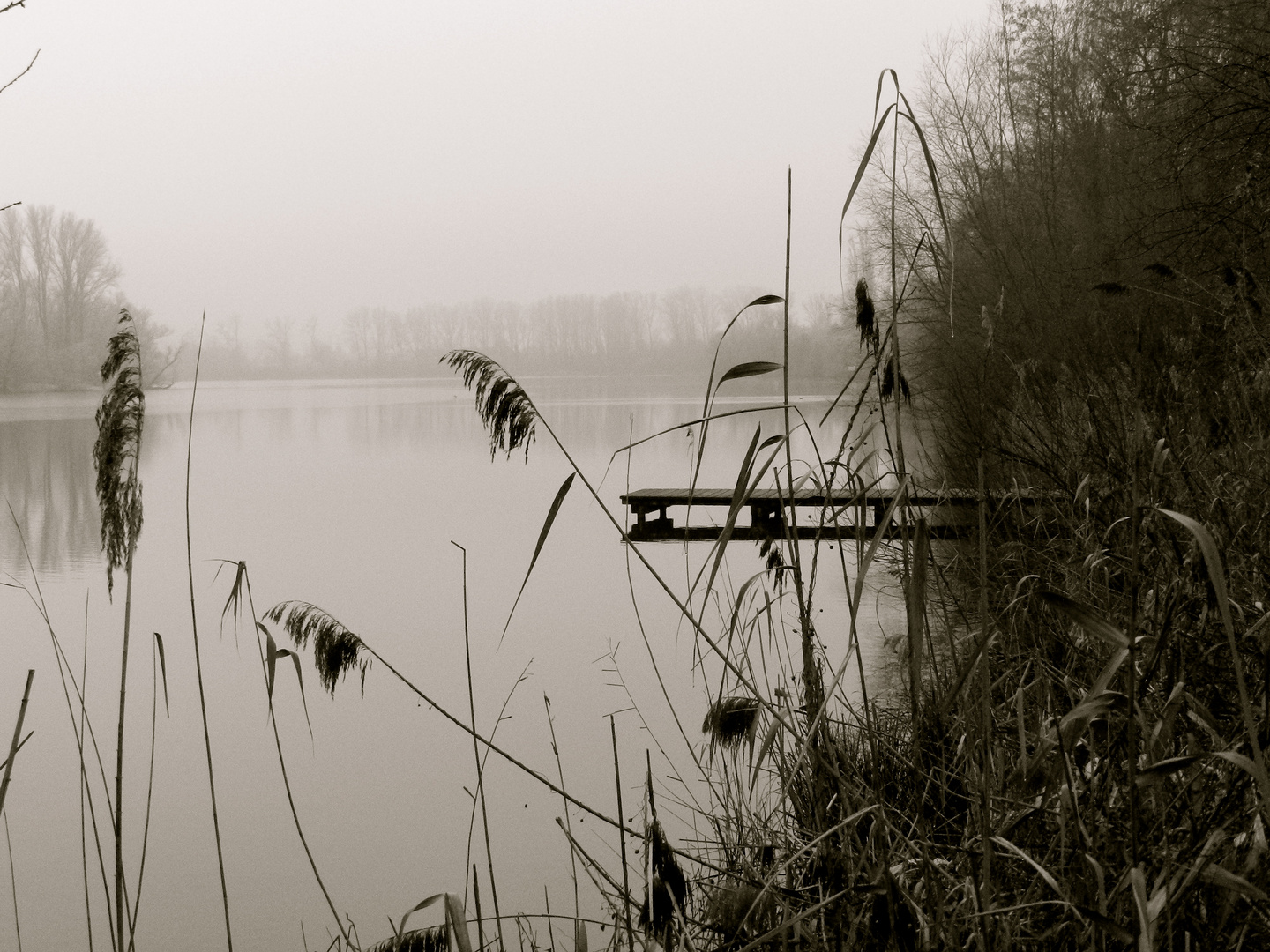 Ein einsamer Tag am See