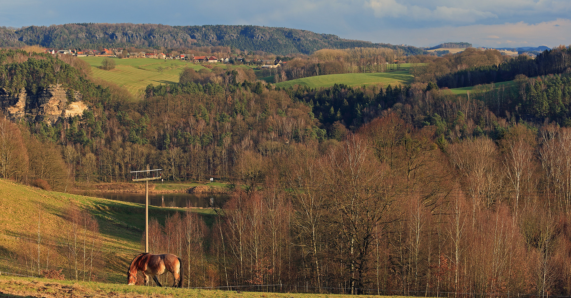 Ein einsames Pferd an der Elbe in der Sächsischen Schweiz...  .