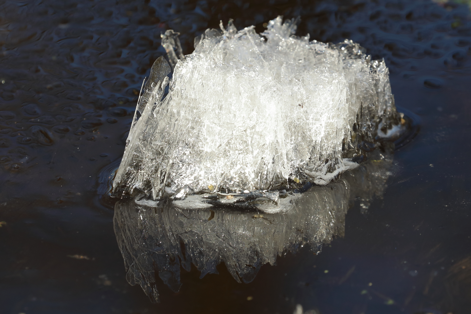 Ein Eisberg spiegelt sich im Fredersdorfer Mühlenfließ