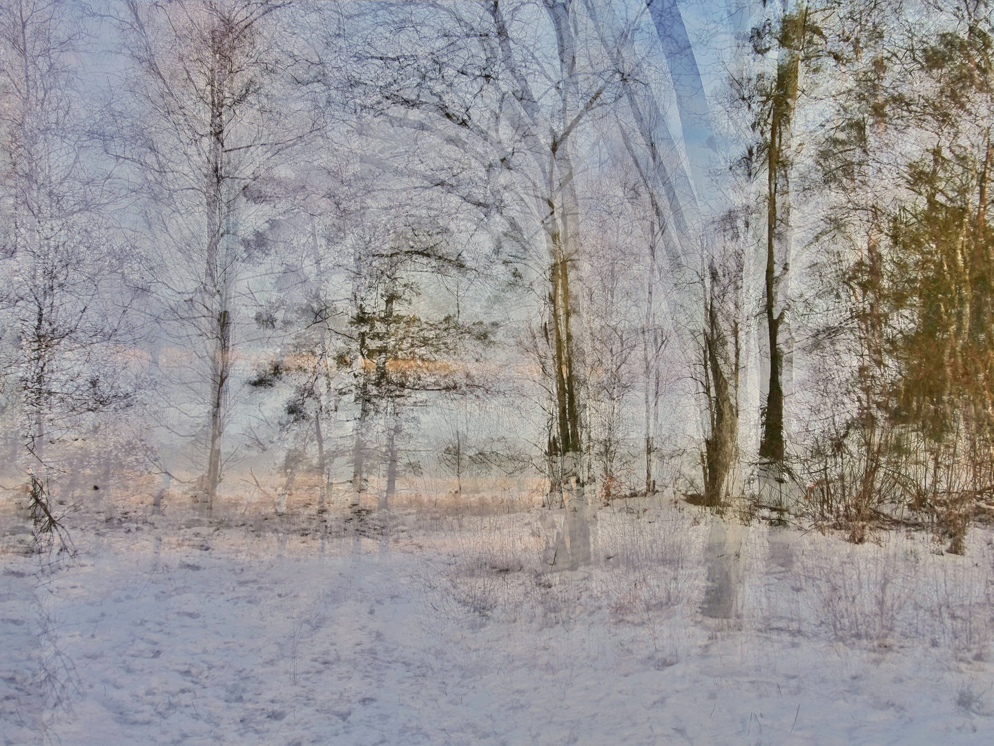 ein eisiger Wind Foto &amp; Bild | art, spezial, outdoor Bilder auf ...
