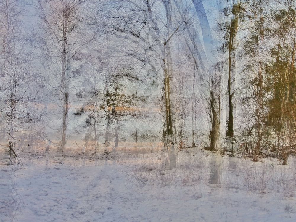 ein eisiger Wind Foto &amp; Bild | art, spezial, outdoor Bilder auf ...