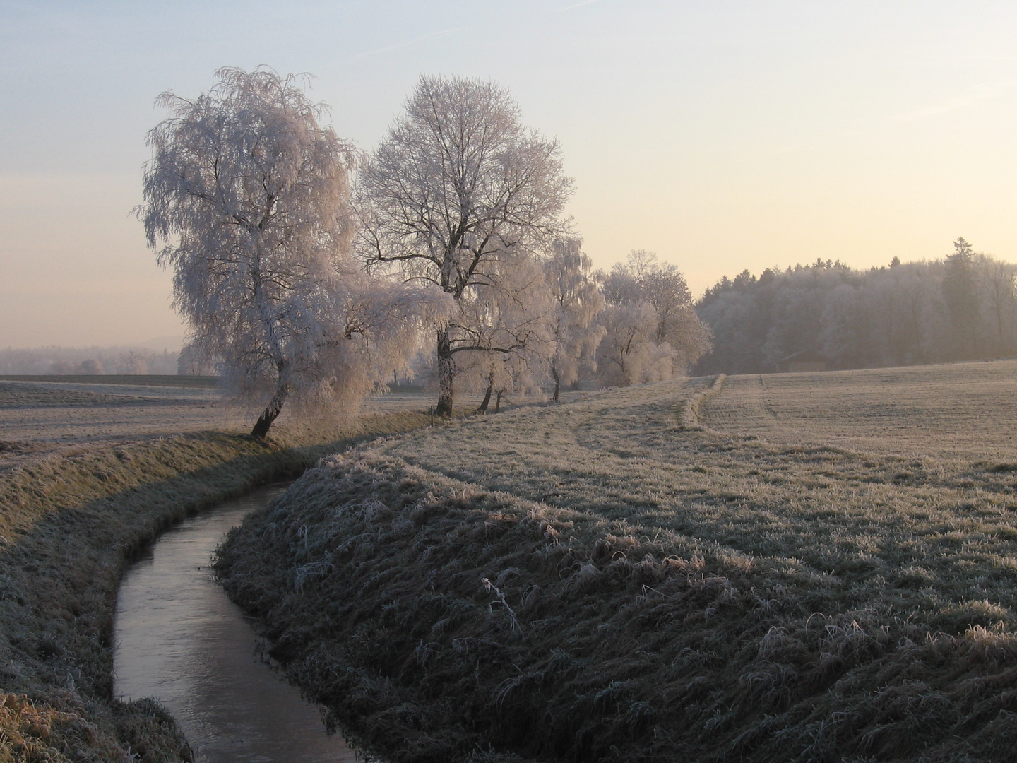 Ein eisiger Wintermorgen