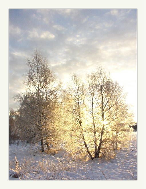 Ein eiskalter Morgen