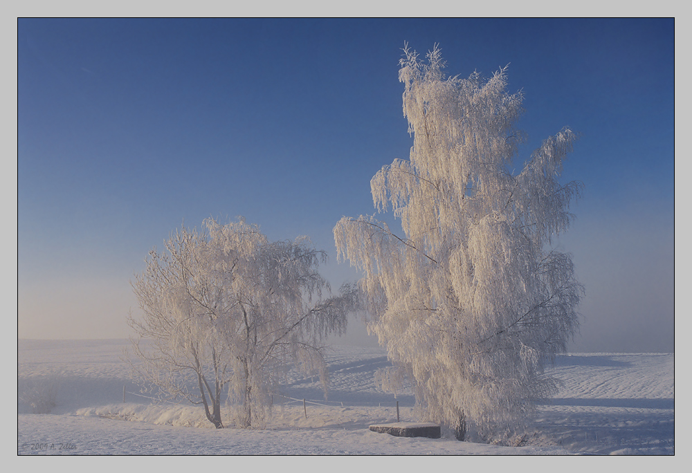 Ein eiskalter Wintermorgen