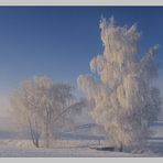 Ein eiskalter Wintermorgen