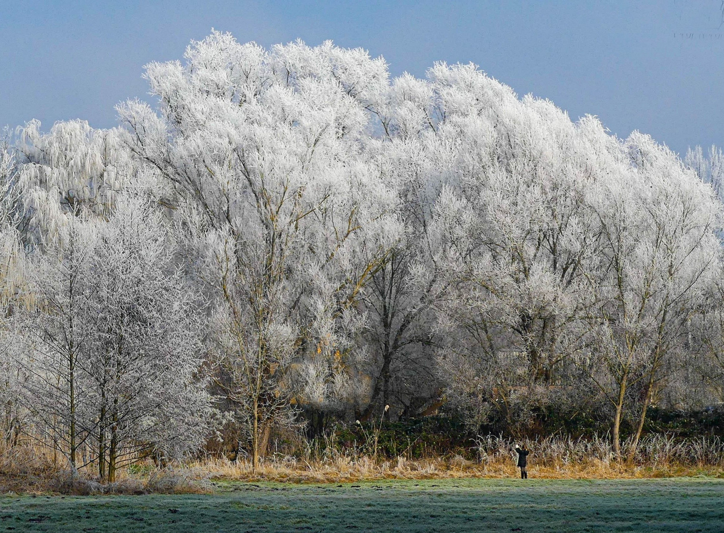 Ein eiskaltes Motiv