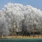 Ein eiskaltes Motiv