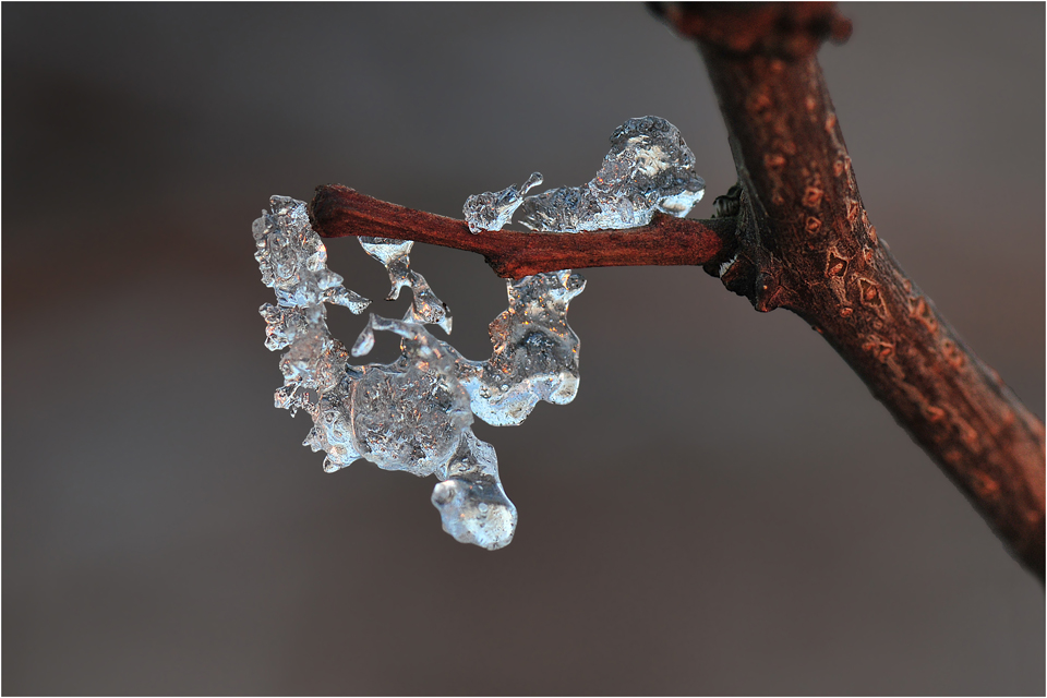 Ein Eiskristal in einer anderen Form