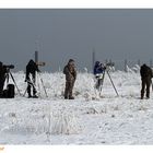 Ein Eldorado für Naturfotografen