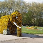 Ein Elefant aus Blumen