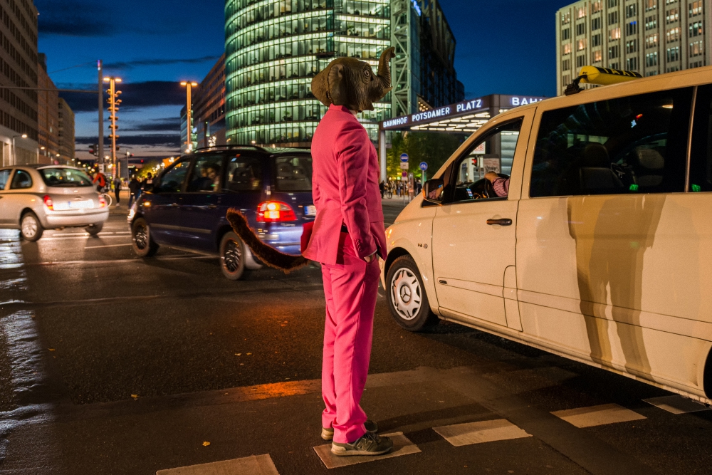 ... ein Elefant erkundet den Straßenverkehr ...