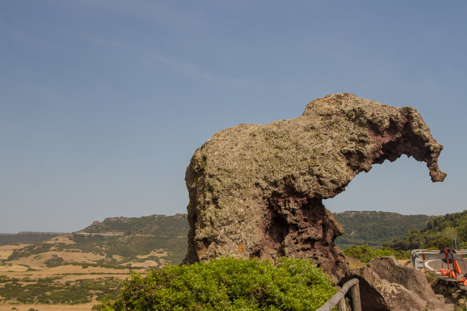 Ein Elefant in Sardinien