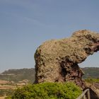 Ein Elefant in Sardinien