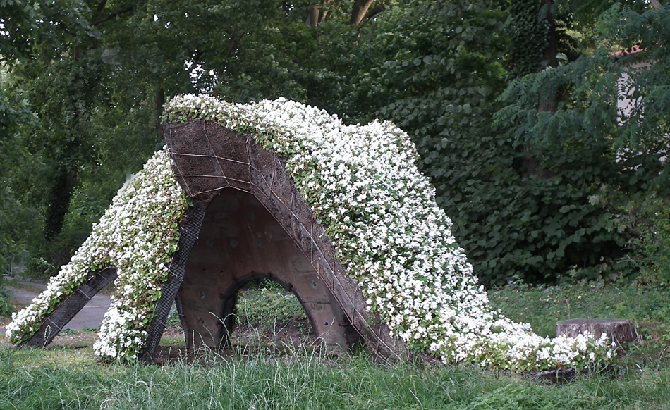 Ein Elefant vor dem