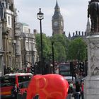 ein Elefant will zum Big Ben