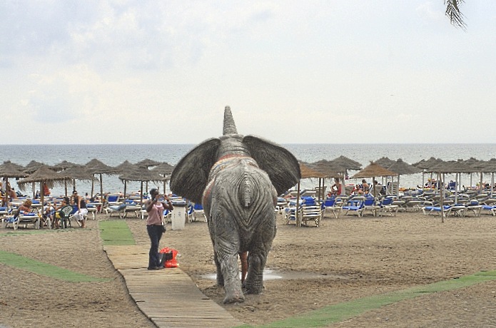 Ein Elephant kommt ....