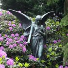 Ein Engel auf dem Friedhof Ohlsdorf in Hamburg 