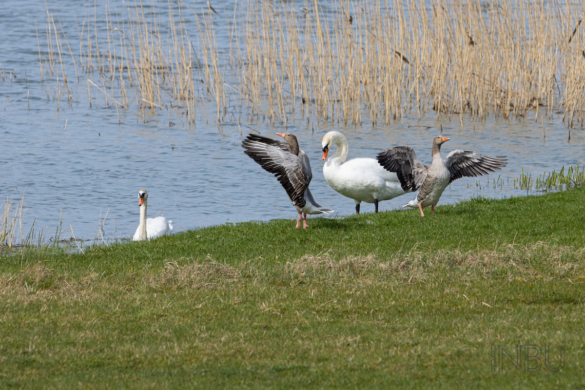 Ein entspannter Ort am See