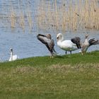 Ein entspannter Ort am See