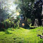 ..ein entspannter Sonntag Nachmittag im Garten..
