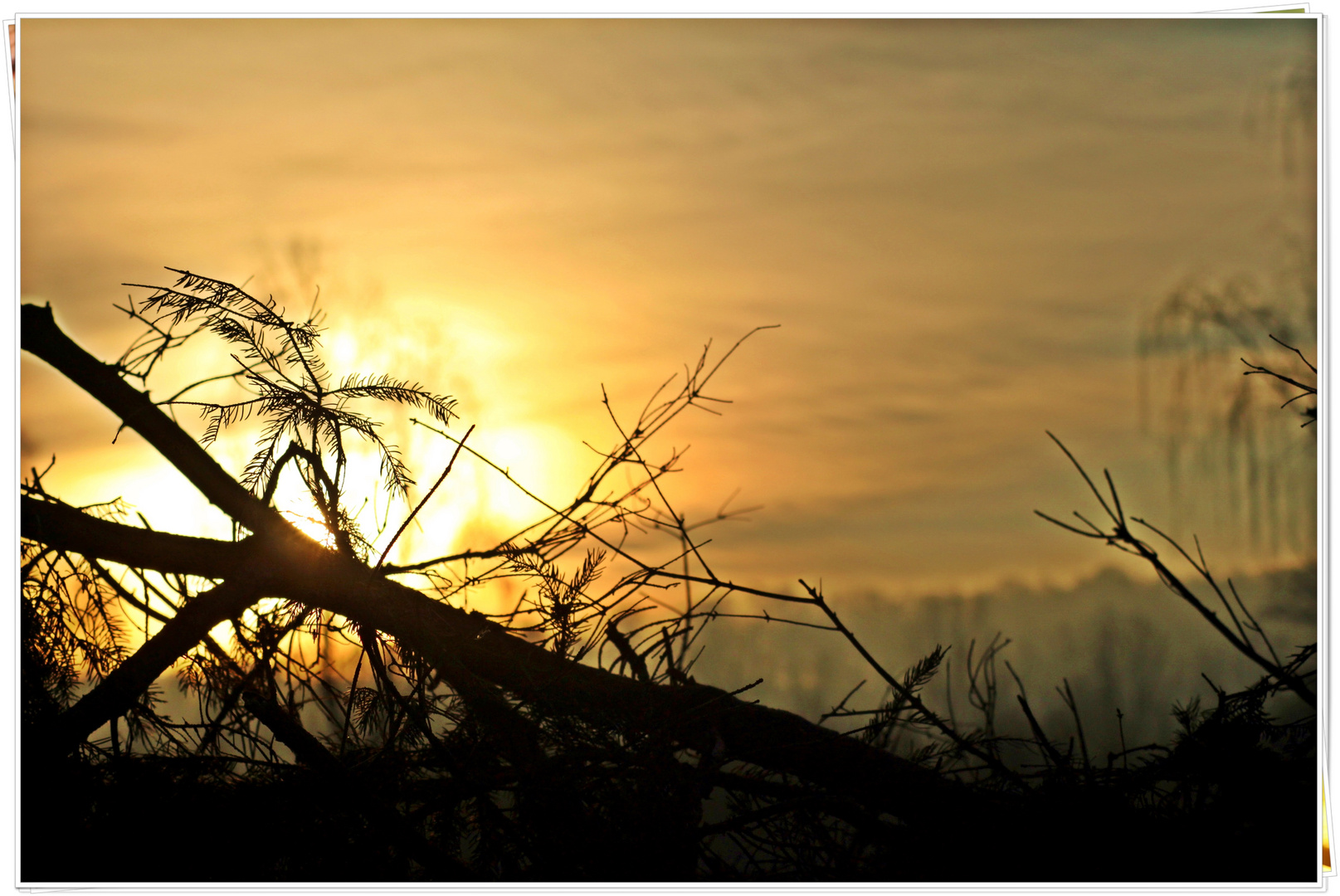 Ein erfreulicher Anblick