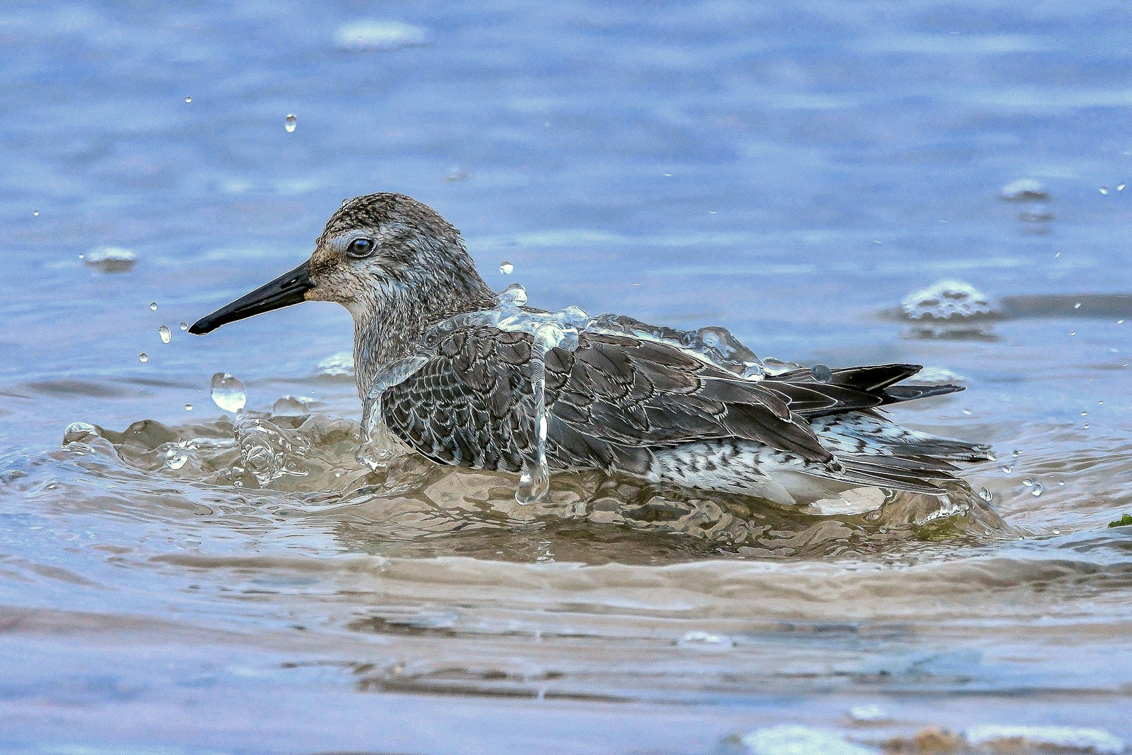 ein erfrischendes Bad im Meer