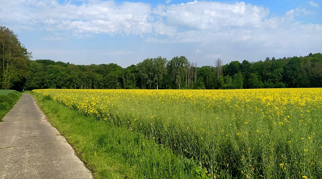 Ein erholsamer Weg