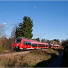 Ein Ersatz-Hamster on Tour