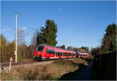 Ein Ersatz-Hamster on Tour