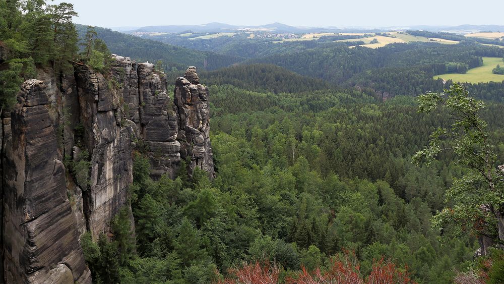 Ein erster Blick auf die Felsen vom oberen Affensteinweg