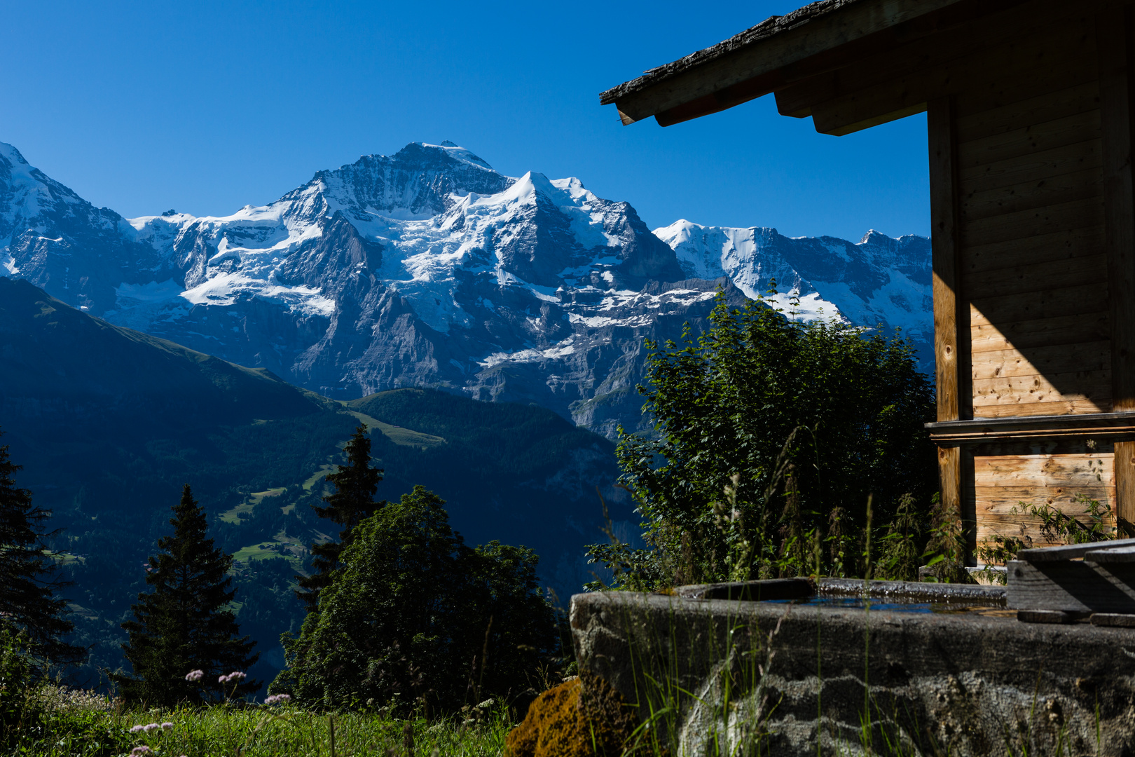 Ein erster Blick auf die Jungfrau