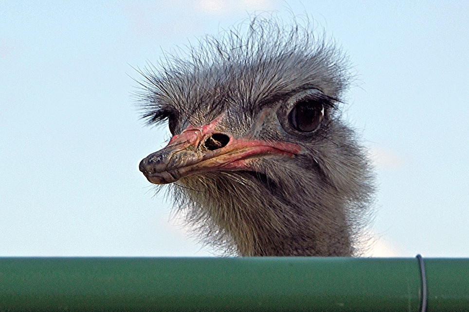 ein erster Blick ins neue Jahr