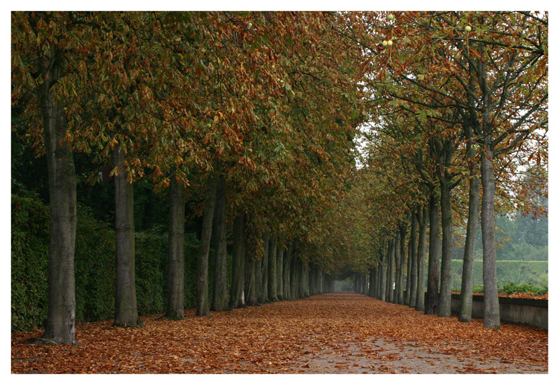 ...ein erster Gruß vom Herbst...