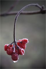 Ein erster Hauch von Winter