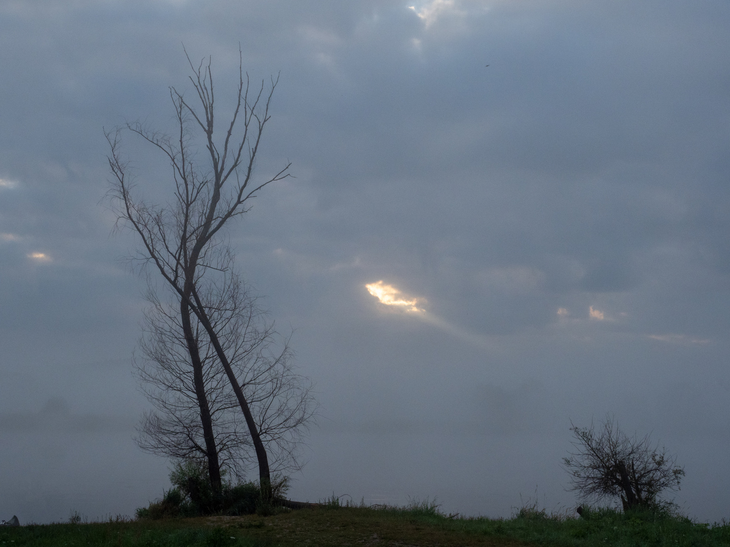 Ein erster Sonnenstrahl ... 